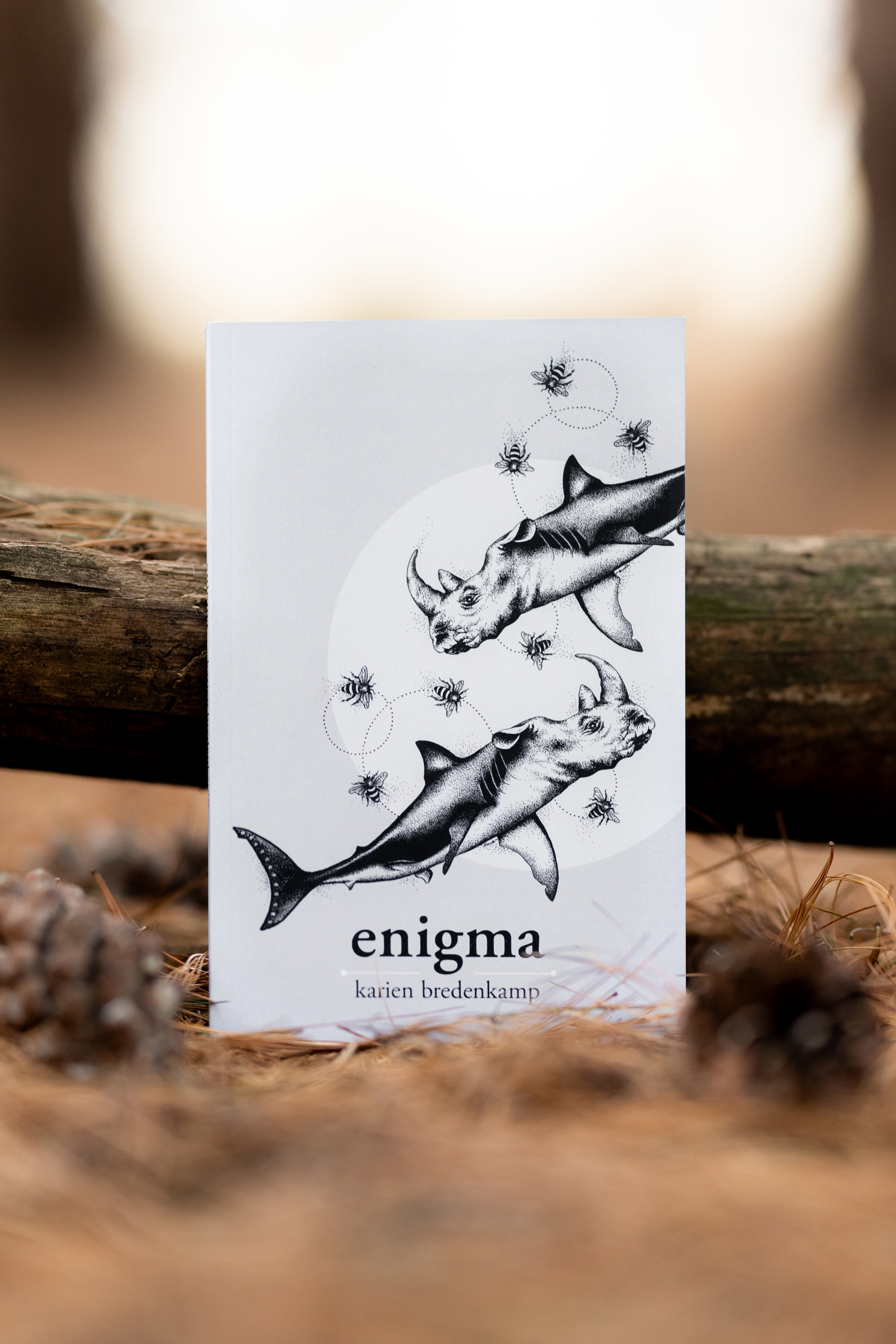 "Enigma" book cover by Karien Bredenkamp